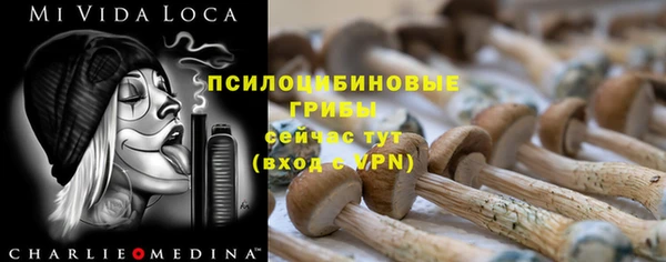 каннабис Гусев