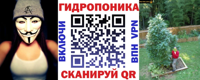 Бошки Шишки конопля Кандалакша
